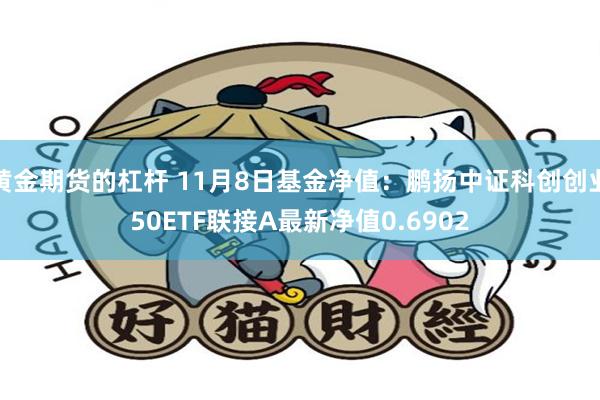 黄金期货的杠杆 11月8日基金净值：鹏扬中证科创创业50ETF联接A最新净值0.6902