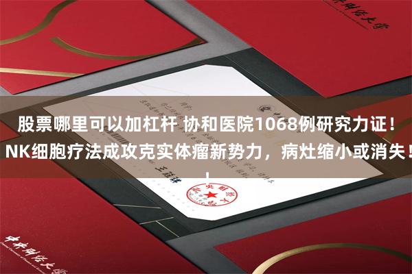 股票哪里可以加杠杆 协和医院1068例研究力证！ NK细胞疗法成攻克实体瘤新势力，病灶缩小或消失！