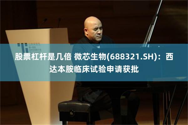 股票杠杆是几倍 微芯生物(688321.SH)：西达本胺临床试验申请获批