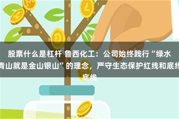 股票什么是杠杆 鲁西化工：公司始终践行“绿水青山就是金山银山”的理念，严守生态保护红线和底线