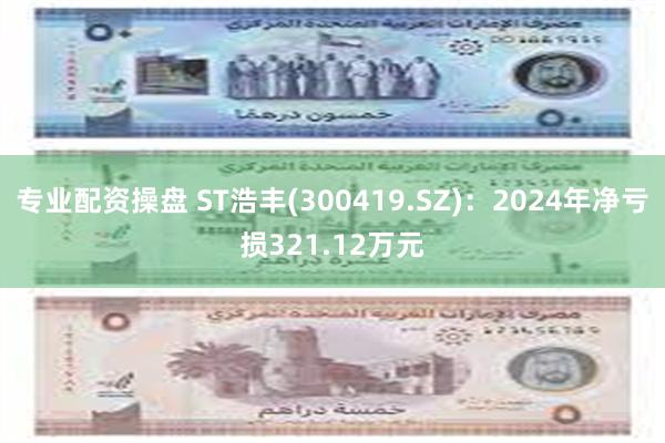专业配资操盘 ST浩丰(300419.SZ)：2024年净亏损321.12万元
