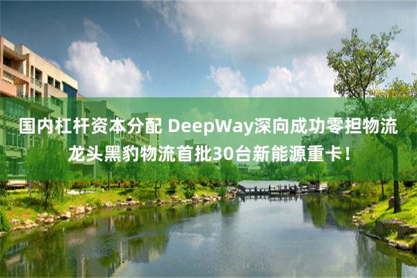 国内杠杆资本分配 DeepWay深向成功零担物流龙头黑豹物流首批30台新能源重卡！