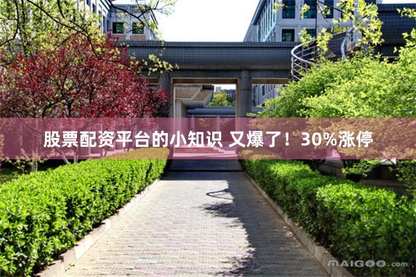 股票配资平台的小知识 又爆了！30%涨停