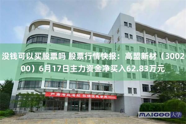 没钱可以买股票吗 股票行情快报：高盟新材（300200）6月17日主力资金净买入62.83万元