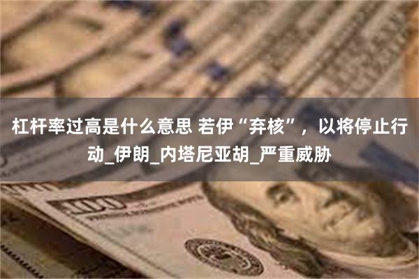 杠杆率过高是什么意思 若伊“弃核”，以将停止行动_伊朗_内塔尼亚胡_严重威胁