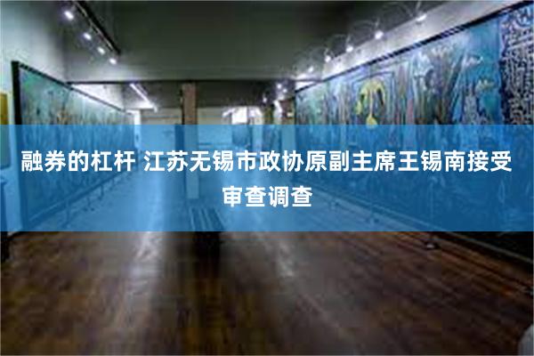 融券的杠杆 江苏无锡市政协原副主席王锡南接受审查调查