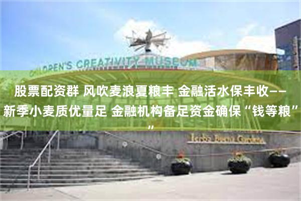 股票配资群 风吹麦浪夏粮丰 金融活水保丰收——新季小麦质优量足 金融机构备足资金确保“钱等粮”