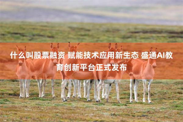 什么叫股票融资 赋能技术应用新生态 盛通AI教育创新平台正式发布