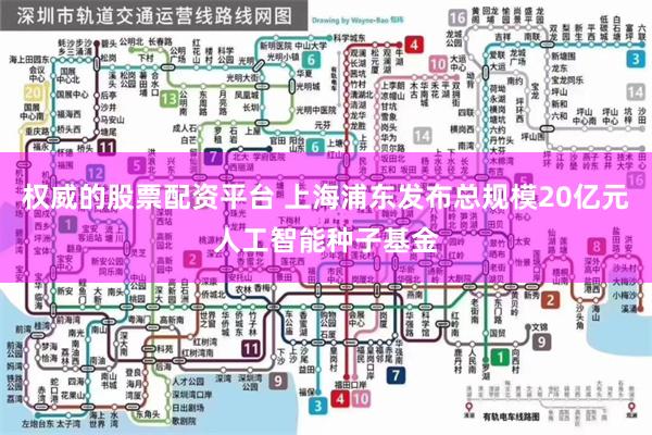 权威的股票配资平台 上海浦东发布总规模20亿元人工智能种子基金