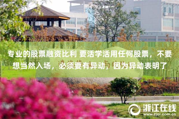 专业的股票融资比利 要活学活用任何股票,不要想当然入场,必须要有异动,因为异动表明了
