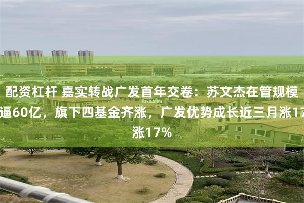 配资杠杆 嘉实转战广发首年交卷：苏文杰在管规模直逼60亿，旗下四基金齐涨，广发优势成长近三月涨17%