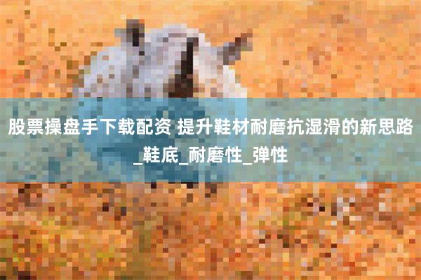 股票操盘手下载配资 提升鞋材耐磨抗湿滑的新思路_鞋底_耐磨性_弹性