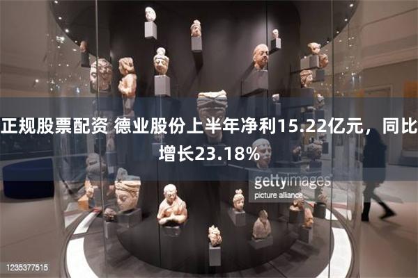 正规股票配资 德业股份上半年净利15.22亿元，同比增长23.18%