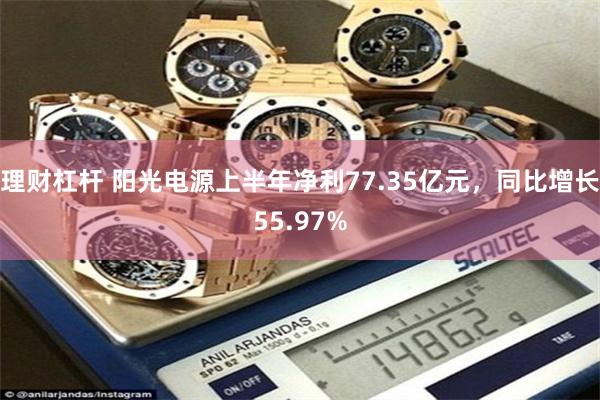 理财杠杆 阳光电源上半年净利77.35亿元，同比增长55.97%