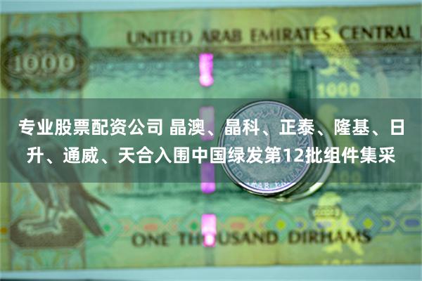 专业股票配资公司 晶澳、晶科、正泰、隆基、日升、通威、天合入围中国绿发第12批组件集采