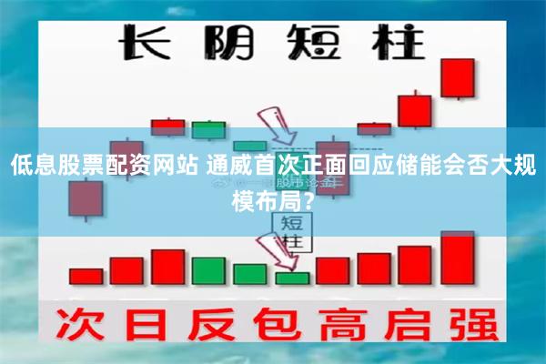 低息股票配资网站 通威首次正面回应储能会否大规模布局？