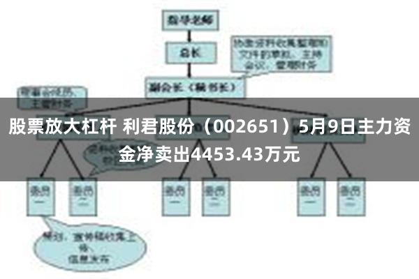 股票放大杠杆 利君股份（002651）5月9日主力资金净卖出4453.43万元