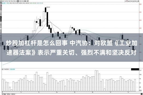 炒股加杠杆是怎么回事 中汽协：对欧盟《工业加速器法案》表示严重关切、强烈不满和坚决反对