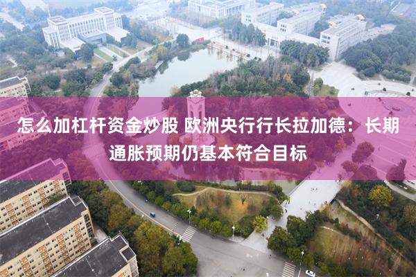 怎么加杠杆资金炒股 欧洲央行行长拉加德：长期通胀预期仍基本符合目标