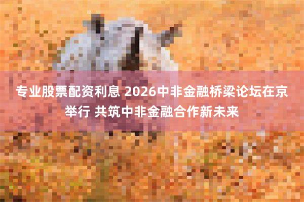 专业股票配资利息 2026中非金融桥梁论坛在京举行 共筑中非金融合作新未来
