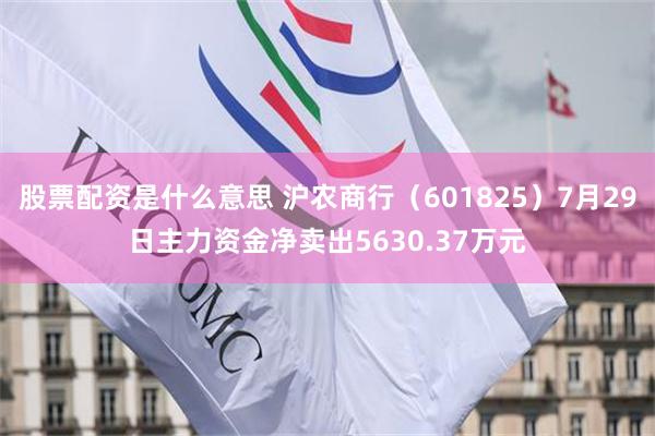 股票配资是什么意思 沪农商行（601825）7月29日主力资金净卖出5630.37万元