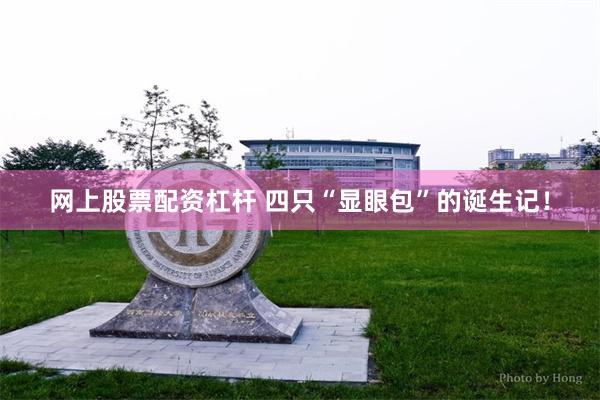 网上股票配资杠杆 四只“显眼包”的诞生记！