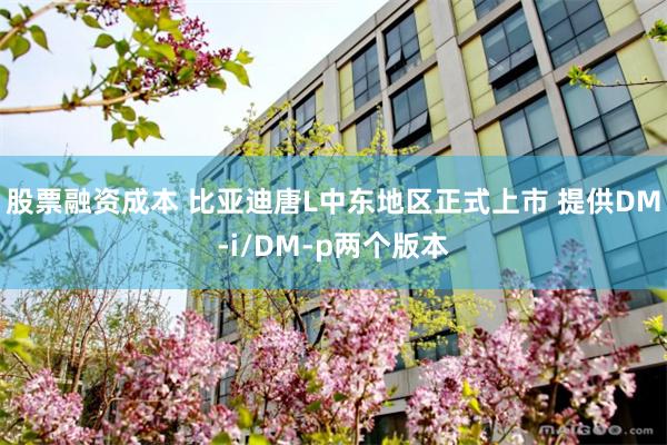 股票融资成本 比亚迪唐L中东地区正式上市 提供DM-i/DM-p两个版本