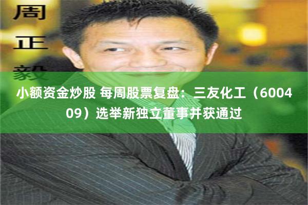 小额资金炒股 每周股票复盘：三友化工（600409）选举新独立董事并获通过
