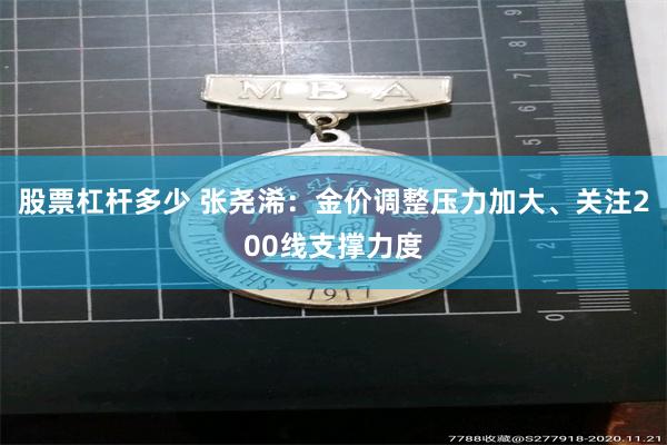股票杠杆多少 张尧浠：金价调整压力加大、关注200线支撑力度