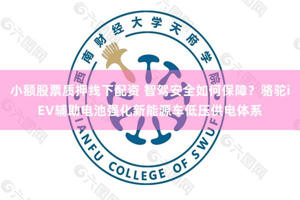 小额股票质押线下配资 智驾安全如何保障？骆驼iEV辅助电池强化新能源车低压供电体系