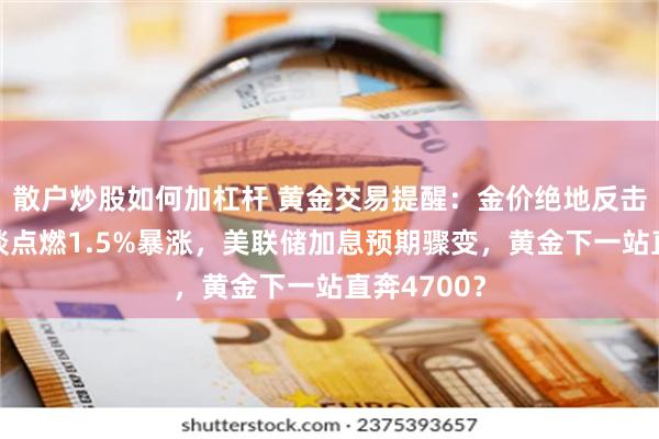散户炒股如何加杠杆 黄金交易提醒：金价绝地反击！美伊和谈点燃1.5%暴涨，美联储加息预期骤变，黄金下一站直奔4700？