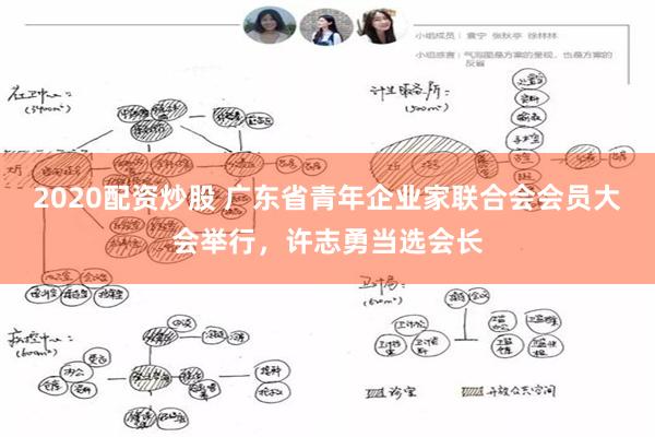2020配资炒股 广东省青年企业家联合会会员大会举行,许志勇当选会长