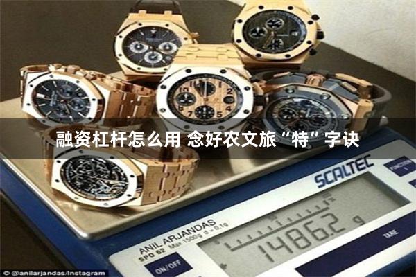 融资杠杆怎么用 念好农文旅“特”字诀