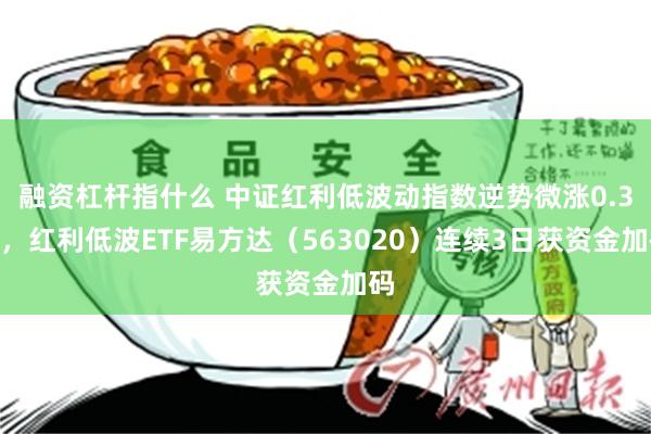 融资杠杆指什么 中证红利低波动指数逆势微涨0.3%,红利低波ETF易方达(563020)连续3日获资金加码