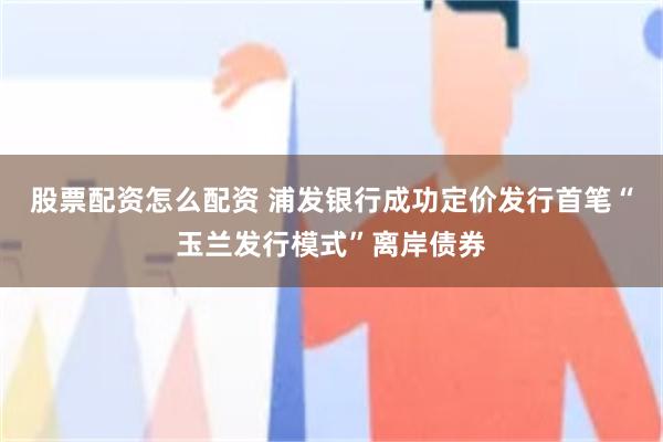 股票配资怎么配资 浦发银行成功定价发行首笔“玉兰发行模式”离岸债券