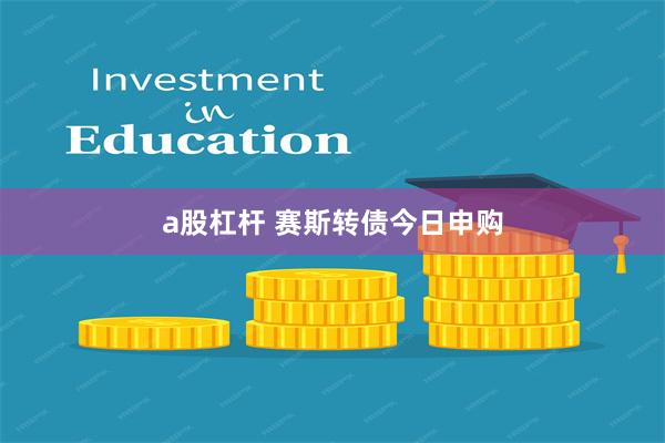 a股杠杆 赛斯转债今日申购