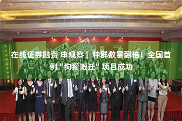 在线证劵融资 申观察 |  种群数量翻倍！全国首例“狗獾搬迁”项目成功