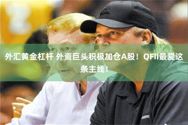 外汇黄金杠杆 外资巨头积极加仓A股！QFII最爱这条主线！