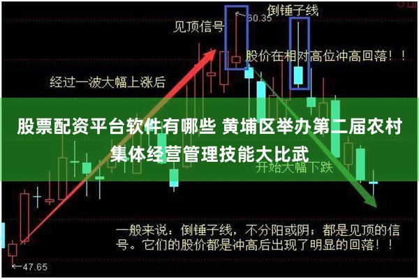 股票配资平台软件有哪些 黄埔区举办第二届农村集体经营管理技能大比武