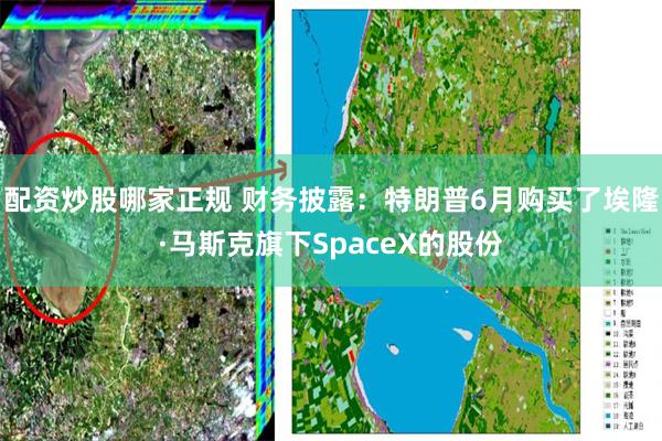 配资炒股哪家正规 财务披露：特朗普6月购买了埃隆·马斯克旗下SpaceX的股份