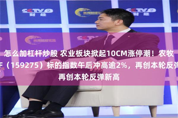 怎么加杠杆炒股 农业板块掀起10CM涨停潮！农牧渔ETF（159275）标的指数午后冲高逾2%，再创本轮反弹新高
