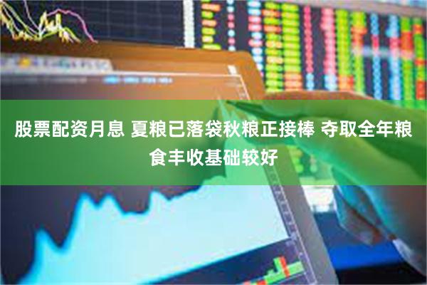 股票配资月息 夏粮已落袋秋粮正接棒 夺取全年粮食丰收基础较好