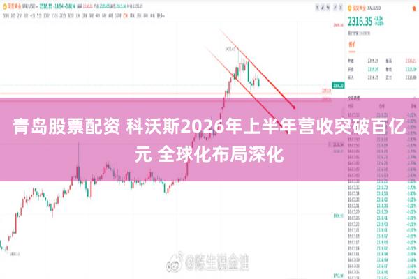 青岛股票配资 科沃斯2026年上半年营收突破百亿元 全球化布局深化