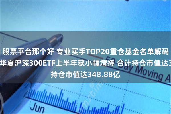 股票平台那个好 专业买手TOP20重仓基金名单解码：易方达华夏沪深300ETF上半年获小幅增持 合计持仓市值达348.88亿