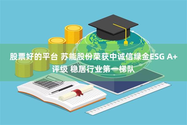 股票好的平台 苏能股份荣获中诚信绿金ESG A+评级 稳居行业第一梯队