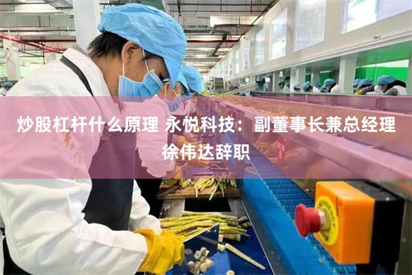 炒股杠杆什么原理 永悦科技：副董事长兼总经理徐伟达辞职
