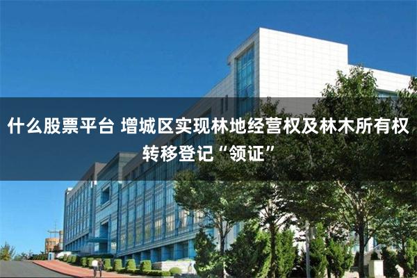 什么股票平台 增城区实现林地经营权及林木所有权转移登记“领证”