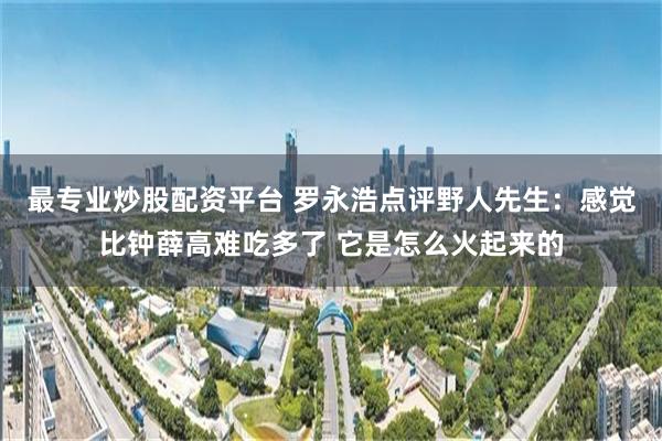 最专业炒股配资平台 罗永浩点评野人先生：感觉比钟薛高难吃多了 它是怎么火起来的