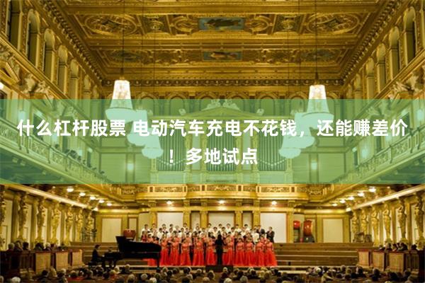 什么杠杆股票 电动汽车充电不花钱，还能赚差价！多地试点