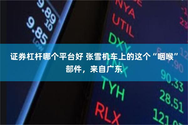 证券杠杆哪个平台好 张雪机车上的这个“咽喉”部件，来自广东